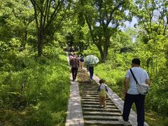-青龙山国家森林公园