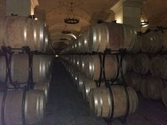 -北京张裕爱斐堡酒庄