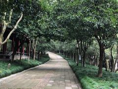 -杭州少年儿童公园
