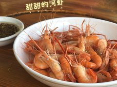 -八仔大富楼·河鲜(西江店)