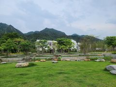 -南丹山森林王国