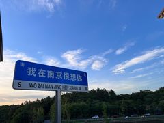 -大塘金香草谷