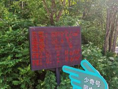 -五营红松林海景区