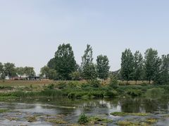 -洨河生态公园