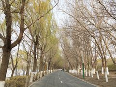 -长白岛森林公园