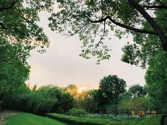 -华东政法大学(松江校区)