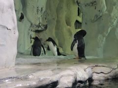 -南昌海洋公园