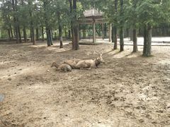 -南昌动物园