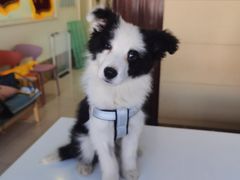 -美联众合24小时·皮肤科·外科·全科诊疗中心(华苑分院)