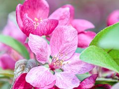 -海棠花溪(元大都城垣遗址公园)