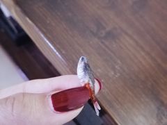 -金春禧(世茂国际广场店)