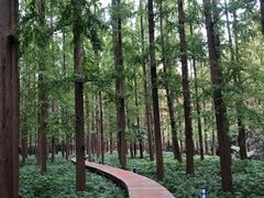 -上海怡沁园度假酒店
