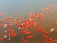 -西海子公园