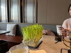 -罗勒家·养生火锅· Bistro(大望路店)