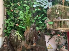 -丽江庭院·云南野生菌·海鲜火锅(鼓楼四合院店)