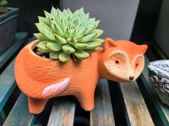 -后海16号·北京私房菜