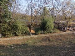 -盘龙城国家考古遗址公园