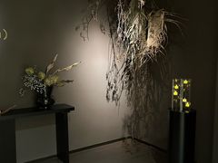 -安屿an·spa(卓悦中心商场店)