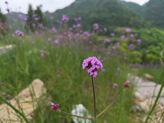 -三峡人家风景区