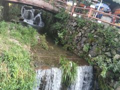 -藏龙百瀑风景区