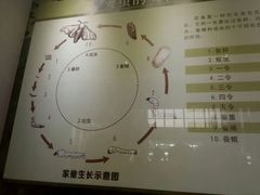 -杭州西湖丝绸文化博物馆