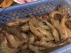 -蒙肥羊·酸汤潮牛·鲜牛肉火锅烤肉自助(岗顶店)