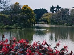 -海珠湖公园