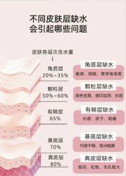 点击看大图 -玛莲朵·海菲秀冰珀科