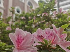-香港大学