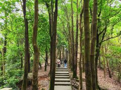 -火炉山森林公园