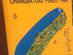 -长白岛森林公园