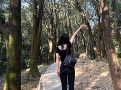 -火炉山森林公园