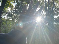 -昆山城市生态森林公园