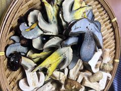 -菌极鲜野生菌火锅店(阳明祠店)