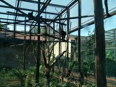 -石家庄市动物园