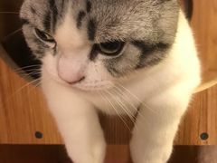 -Pets First伊珊娜洗护·精致美容·家庭式寄养(新会路店)