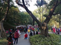 -晓港公园