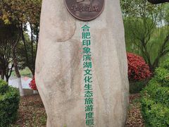 -合肥滨湖国家森林公园