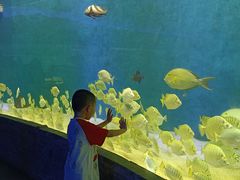 -合肥海洋世界