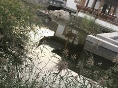 -南普公园