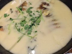 -富正毅三下锅(体育馆店)