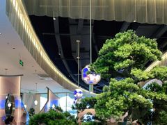 -马家斑.鲜鱼火锅(松湖万科店)