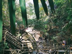 -东天目山风景区