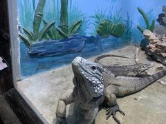 -石家庄市动物园