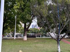 -长沙市青少年宫