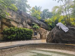 -海口观澜湖火山温泉谷