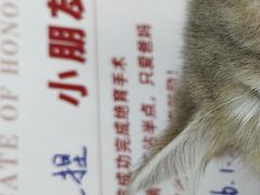 -御宝贝24h宠物医院·转诊中心·CT核磁血透中心(厦门总院)