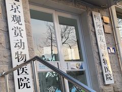 -北京观赏动物医院·24小时大型综合·猫专科·异宠专科