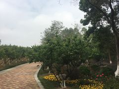 -玉树公园