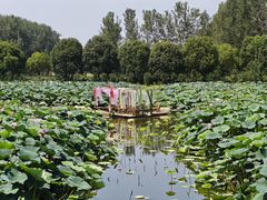 -渌洋湖湿地公园